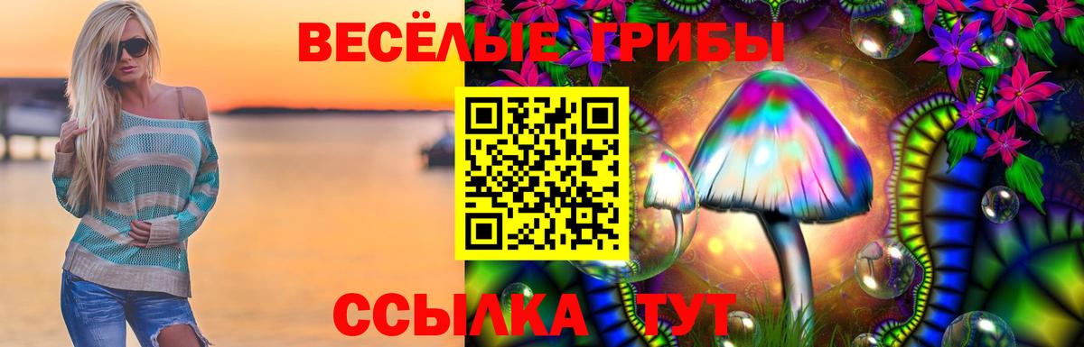 Галлюциногенные грибы Psilocybine cubensis Советск